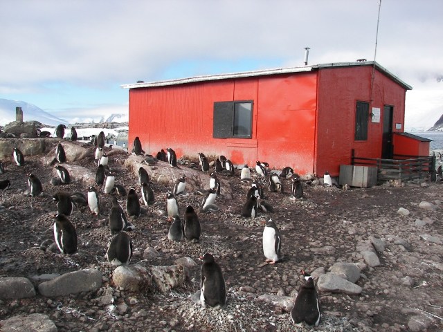Refugio Antartico